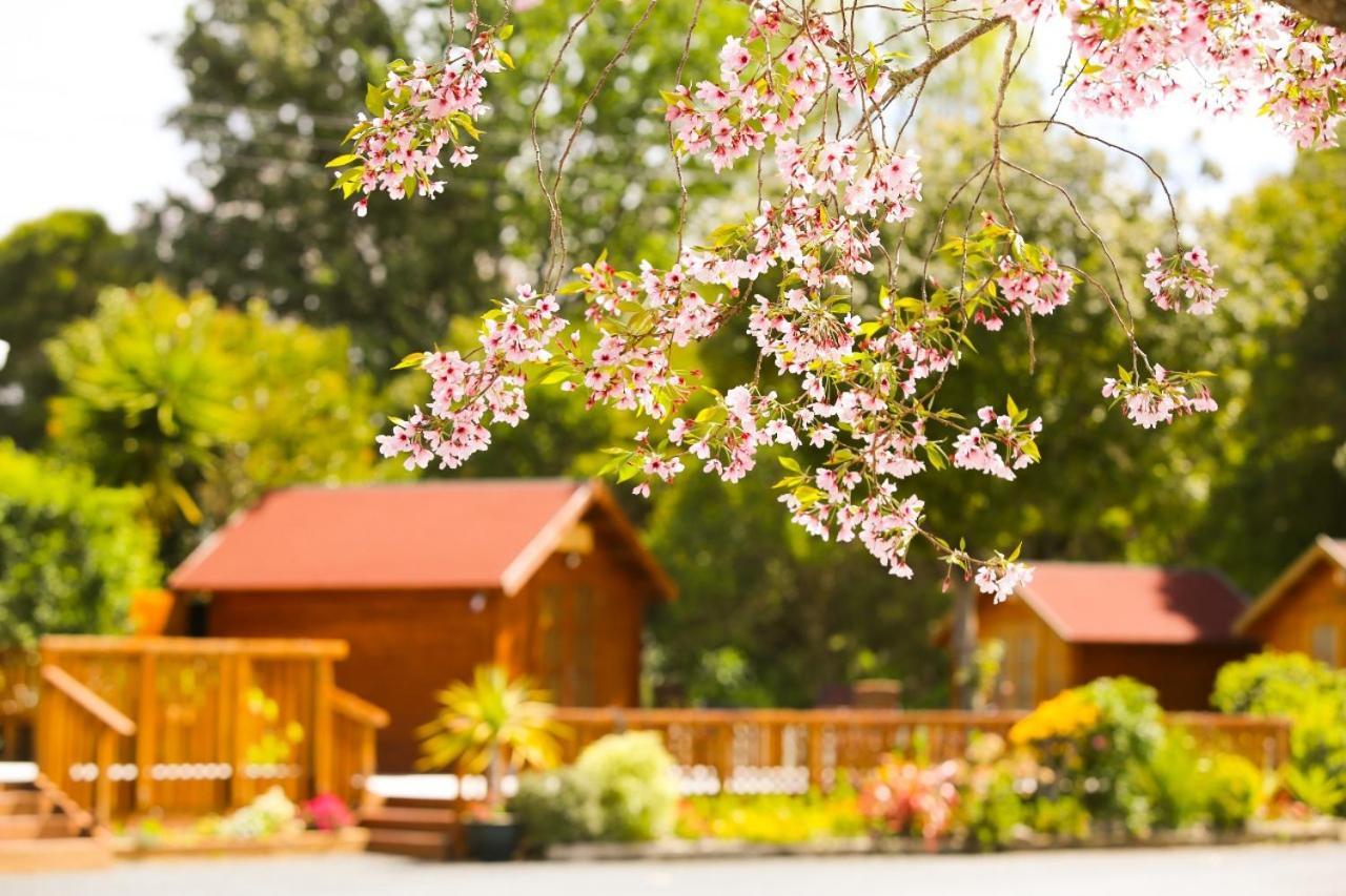 Orere Point Top 10 Holiday Park Окленд Екстер'єр фото